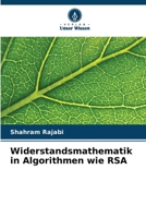 Widerstandsmathematik in Algorithmen wie RSA 6206415554 Book Cover
