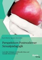 Perspektiven Postmoderner Sexualpädagogik: Lustvolles Verlangen, traditionelle Tabus und Sexuelle Menschenrechte 3954259621 Book Cover