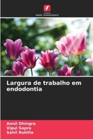 Largura de trabalho em endodontia (Portuguese Edition) 6202041129 Book Cover
