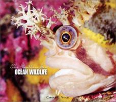 Ocean Wildlife 0531123243 Book Cover