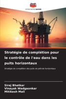 Stratégie de complétion pour le contrôle de l'eau dans les puits horizontaux (French Edition) 6206998274 Book Cover