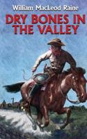 Dry Bones in the Valley 1479419486 Book Cover