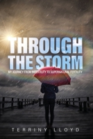 Through the Storm: From Infertility to Supernatural Fertility 0999864645 Book Cover
