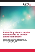 La DHEA y El Ciclo Celular En Endotelio de Cordon Umbilical Humano 3659075639 Book Cover