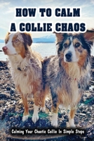 How To Calm A Collie Chaos: Calming Your Chaotic Collie In Simple Steps: Proven Ways To Calm Your Collie Chaos B09BY88Q5G Book Cover