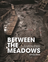 Between the Meadows: The Archaeology of Edercloon on the N4 Dromod-Roosky Bypass 1911633309 Book Cover
