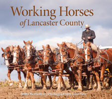 Working Horses of Lancaster County 0764361619 Book Cover