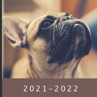 2021 - 2022: 18 Month Calendar - Monthly Photo Calendar - July 2021 - December 2022 - Monthly Calendar with U.S./UK/ Canadian/Christian/Jewish/Muslim Holidays - French Bulldog Calendar B0923WJ59J Book Cover