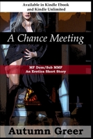 A Chance Meeting:: MF Dom/Sub MMF An Erotica Short Story B09LGV914P Book Cover
