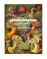 Designs in Nature: the incredible art of Ernst Haeckel 1500501603 Book Cover