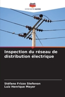 Inspection du réseau de distribution électrique (French Edition) 620977752X Book Cover