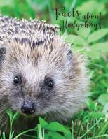 Facts About Hedgehogs: Large print password book with phone numbers, birthdays and other information to keep everything in one place Hedgehog Design 8.5 x 11 Inches 1076841368 Book Cover