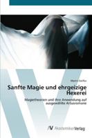 Sanfte Magie und ehrgeizige Hexerei: Magietheorien und ihre Anwendung auf ausgewählte Artusromane 3639432193 Book Cover