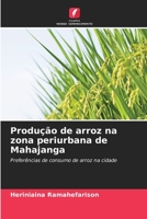 Produção de arroz na zona periurbana de Mahajanga 6205997134 Book Cover