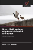 Brazylijski system odpowiedzialnosci nieletnich 620916997X Book Cover