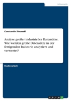 Analyse großer industrieller Datensätze. Wie werden große Datensätze in der fertigenden Industrie analysiert und verwertet? 3346701034 Book Cover