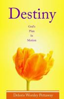Destiny: God's Plan in Motion 1503011003 Book Cover