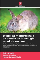 Efeito da metformina e da canela na histologia renal de coelhos 6209109659 Book Cover