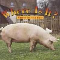 Where Is It? (Celebration Press Ready Readers) 0813653479 Book Cover