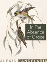 In the Absence of Grace 0986303011 Book Cover