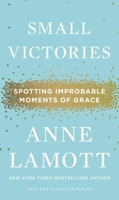Small Victories: Spotting Improbable Moments of Grace 1594486298 Book Cover