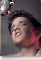 Elvis in the Beginning Limited Edition 3836534231 Book Cover