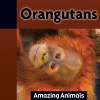 Orangutans (Amazing Animals) 1590369661 Book Cover