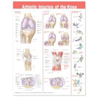 Athletic Injuries of the Knee Anatomical Chart 0781786754 Book Cover