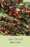 After The Fall 1910669997 Book Cover
