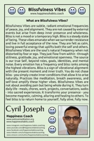 Blissfulness Vibes B0FCLMN2TC Book Cover