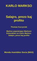 Salajro, Prezo Kaj Profito 2918300012 Book Cover