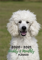 Weekly And Monthly Planner: Organize Your Daily Activities At Home School And Office - Poodle Dog White 1692364278 Book Cover