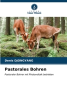 Pastorales Bohren (German Edition) 6206604888 Book Cover