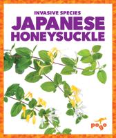 Japanese Honeysuckle B0BGN8PWJZ Book Cover