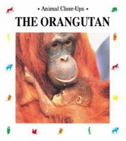 The Orangutan, Forest Acrobat 157091429X Book Cover