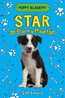 Star on Stormy Mountain 162779803X Book Cover