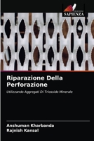 Riparazione Della Perforazione 6202823461 Book Cover