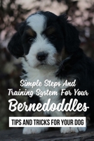 Simple Steps And Training System For Your Bernedoddles: Tips And Tricks For Your Dog: Nutritions For Bernedoddles B09BY283KM Book Cover