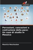 Percezioni, concezioni e costruzione della pace: Un caso di studio in Messico 6207625625 Book Cover