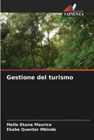 Gestione del turismo (Italian Edition) 6207599160 Book Cover