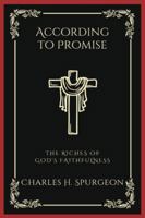 According to Promise: The Riches of God's Faithfulness (Grapevine Press) 9358377720 Book Cover