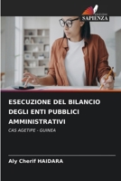 Esecuzione del Bilancio Degli Enti Pubblici Amministrativi (Italian Edition) 6630302427 Book Cover