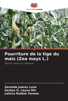 Pourriture de la tige du maïs (Zea mays L.): Espinal, Veracruz, Mexique 6206330656 Book Cover