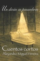 Un diván en penumbras 1719890536 Book Cover