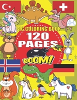 BIG COLORING BOOK: +120 Pages, Best coloring book for kids for ages 4 - 8, 4 BOOKS IN ONE awesome, Easy, LARGE, GIANT and Simple B0915PKWQ3 Book Cover