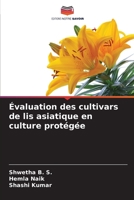 Évaluation des cultivars de lis asiatique en culture protégée 6206064387 Book Cover