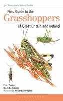 Field Guide to the Grasshoppers of Great Britain and Ireland 1472976797 Book Cover