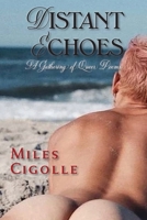 Distant Echoes, A Gathering of Queer Poems 1632936844 Book Cover
