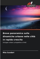 Breve panoramica sulle dinamiche urbane nelle città in rapida crescita (Italian Edition) 6209847366 Book Cover