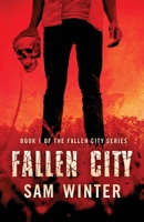 Fallen City null Book Cover